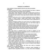 Referāts 'SIA "Elva-1" maksātspējas un bankrota rādītāju analīze', 36.