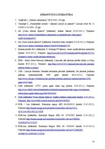 Referāts 'Putnu gaļas ražošana un tirgus Latvijā', 33.