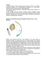 Konspekts 'Elpošanas nodrošināšana dzīvībai bīstamās situācijās', 6.