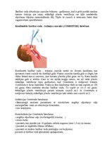 Konspekts 'Elpošanas nodrošināšana dzīvībai bīstamās situācijās', 7.