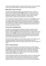 Konspekts 'Ģermāņu ciltis: vēsture, kultūra, mitoloģija, sabiedrība un kultūras mantojums', 25.