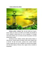 Paraugs 'Reklāmas analīze pēc krāsu lietojuma', 4.