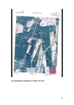 Referāts 'Jaunaudzes kopšanas tehnoloģijas analīze', 27.