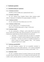 Biznesa plāns 'SIA "Box"', 6.