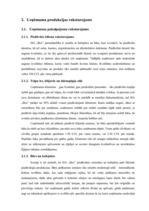 Biznesa plāns 'SIA "Box"', 9.