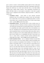 Biznesa plāns 'SIA "Box"', 13.