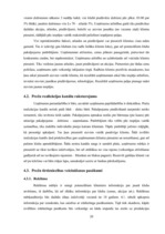 Biznesa plāns 'SIA "Box"', 20.