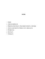 Referāts 'Postmodernās mākslas raksturojums', 2.