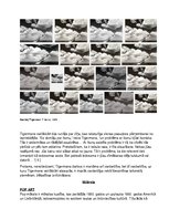 Referāts 'Postmodernās mākslas raksturojums', 8.