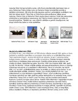 Referāts 'Postmodernās mākslas raksturojums', 10.