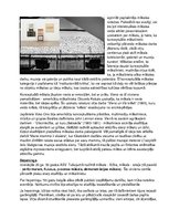 Referāts 'Postmodernās mākslas raksturojums', 13.