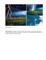 Referāts 'Postmodernās mākslas raksturojums', 24.