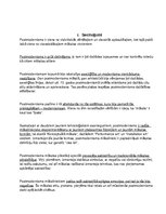 Referāts 'Postmodernās mākslas raksturojums', 30.