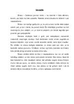 Referāts 'Profesionālā stresa vadīšanas iespējas', 3.