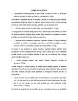 Konspekts 'Lielā didaktikas analīze', 3.