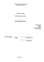 Prakses atskaite 'Prakses atskaite SIA “Aptieka Šmerlis”', 1.