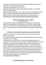 Prakses atskaite 'Prakses atskaite SIA “Aptieka Šmerlis”', 17.