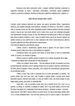 Referāts 'Ielas bērni', 5.