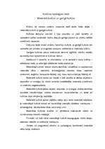 Referāts 'Kultūras tipoloģijas veidi', 2.