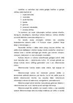 Referāts 'Kultūras tipoloģijas veidi', 4.