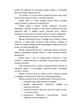 Referāts 'Kultūras tipoloģijas veidi', 5.