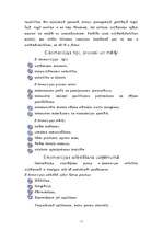 Referāts 'Elektroniskā komercija', 7.