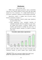 Referāts 'Elektroniskā komercija', 40.
