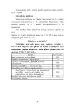 Referāts 'Elektroniskā komercija', 43.