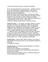 Referāts 'Vērtspapīru raksturojums', 1.