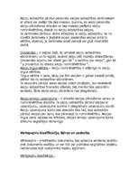 Referāts 'Vērtspapīru raksturojums', 2.