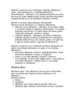 Referāts 'Vērtspapīru raksturojums', 3.