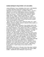 Referāts 'Vērtspapīru raksturojums', 5.