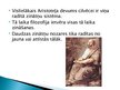 Prezentācija 'Aristotelis un Platons', 12.