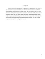 Referāts 'Elektroniskās mācību grāmatas', 14.