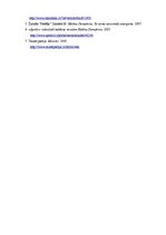 Eseja 'Politiskā psiholoģija - Helēnas Demakovas personības apraksts', 5.