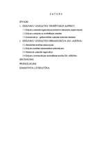 Referāts 'Preču uzskaite SIA "AIRINA"', 1.