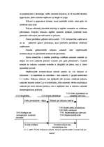 Referāts 'Preču uzskaite SIA "AIRINA"', 6.