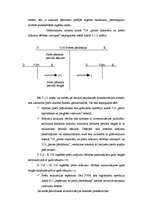 Referāts 'Preču uzskaite SIA "AIRINA"', 8.