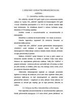 Referāts 'Preču uzskaite SIA "AIRINA"', 13.