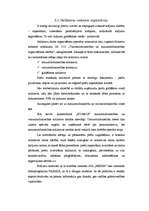 Referāts 'Preču uzskaite SIA "AIRINA"', 16.