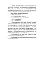 Referāts 'Preču uzskaite SIA "AIRINA"', 19.