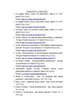 Referāts 'Preču uzskaite SIA "AIRINA"', 22.