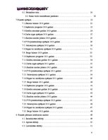 Biznesa plāns 'SIA "DanceToNight"', 3.