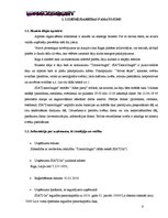 Biznesa plāns 'SIA "DanceToNight"', 5.