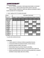 Biznesa plāns 'SIA "DanceToNight"', 10.