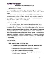 Biznesa plāns 'SIA "DanceToNight"', 16.