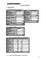 Biznesa plāns 'SIA "DanceToNight"', 21.