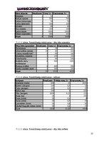 Biznesa plāns 'SIA "DanceToNight"', 22.