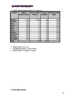 Biznesa plāns 'SIA "DanceToNight"', 25.