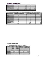 Biznesa plāns 'SIA "DanceToNight"', 32.